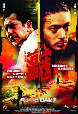 荡寇 (2008)